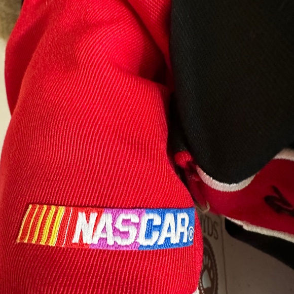 DALE EARNHARDT JR ( 8 ) NASCAR - COLLECTORS BOYDS BEAR - Picture 8 of 12